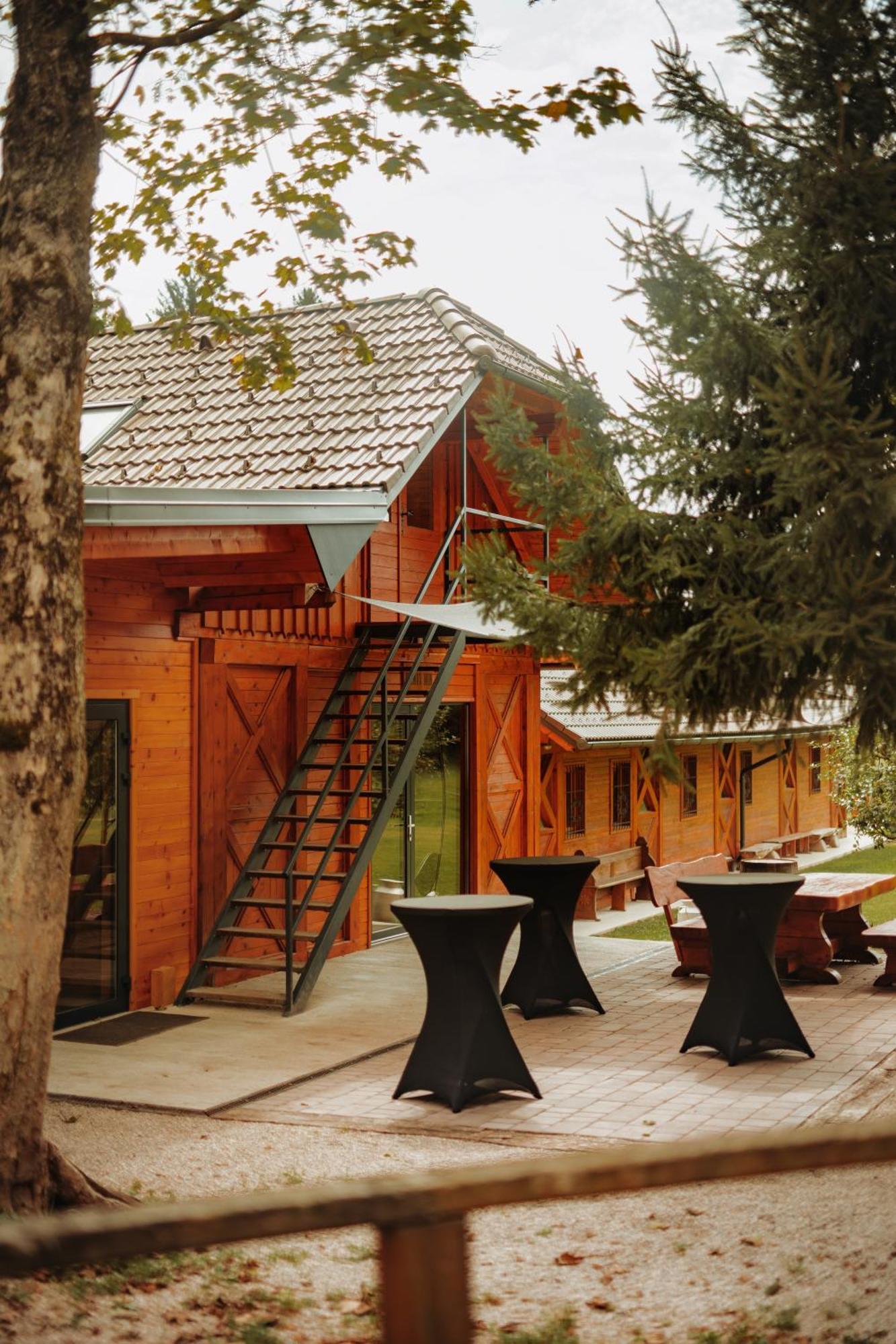 Ranc Mackadam Ranch Mackadam Villa Trzic Exterior photo